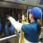 46503f0a-31c5-42dd-8e3d-d05c4e3f79fd