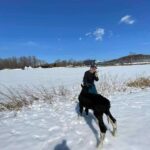 a71465eb-cb28-4608-adfc-12e800eea5f5