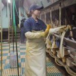 f244fee4-10ea-4b08-9afd-fc20b27c38e6